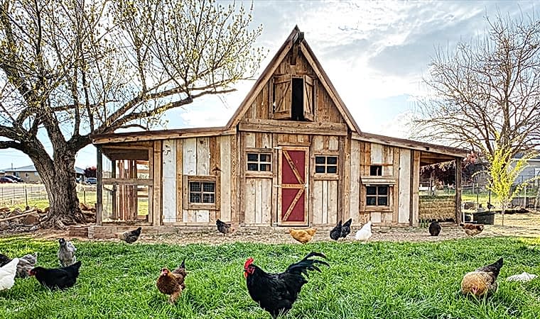 Ahşap Kanatlı Hayvan Kulübelerinin Hayvan Sağlığına Katkıları