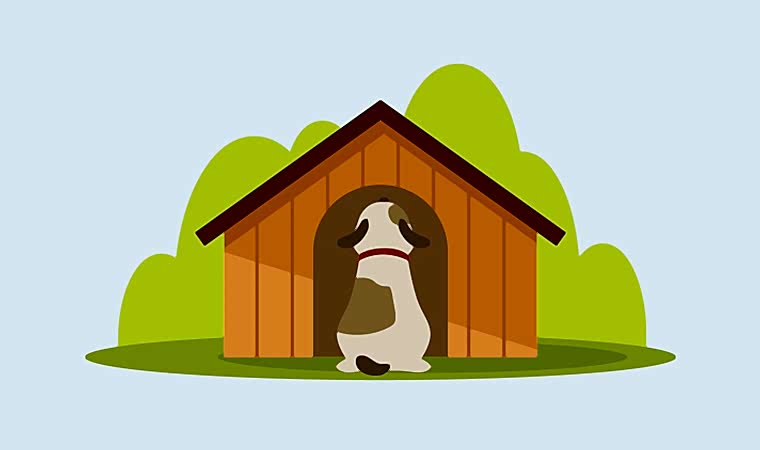 Ahşap Köpek Evlerinin ve Külübelerinin Faydaları ve Köpekleri Alıştırma Süreci