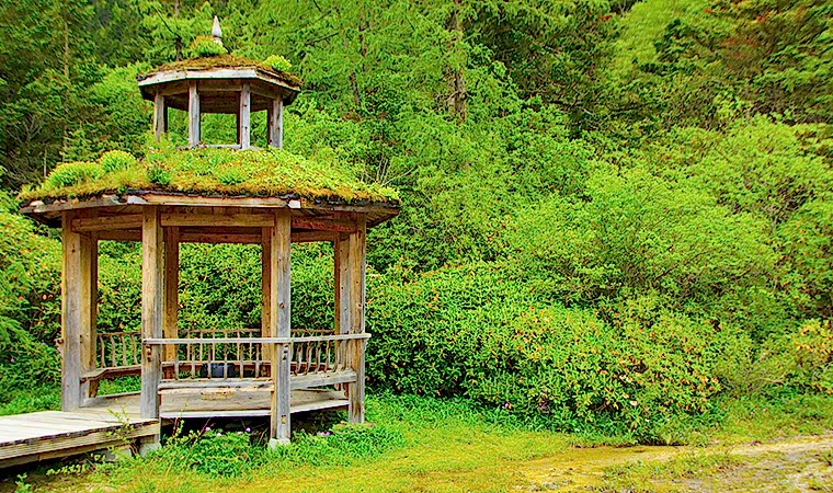 Doğanın Güzelliğini ve Huzurunu Bahçenize Taşıyın