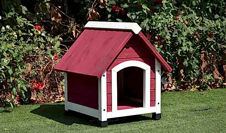 Ahşap Köpek Kulübesi