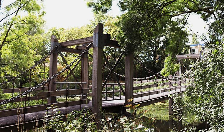 Ahşap Köprülerin Avantajları, Bakımı, Tasarımları ve İnşaatı