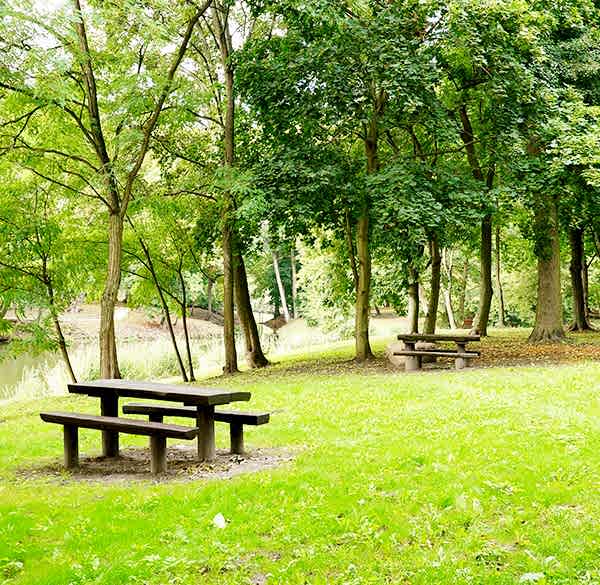 Ahşap Mesire Alanları