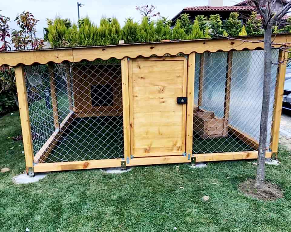 Büyükçekmece Köpek Kulübesi